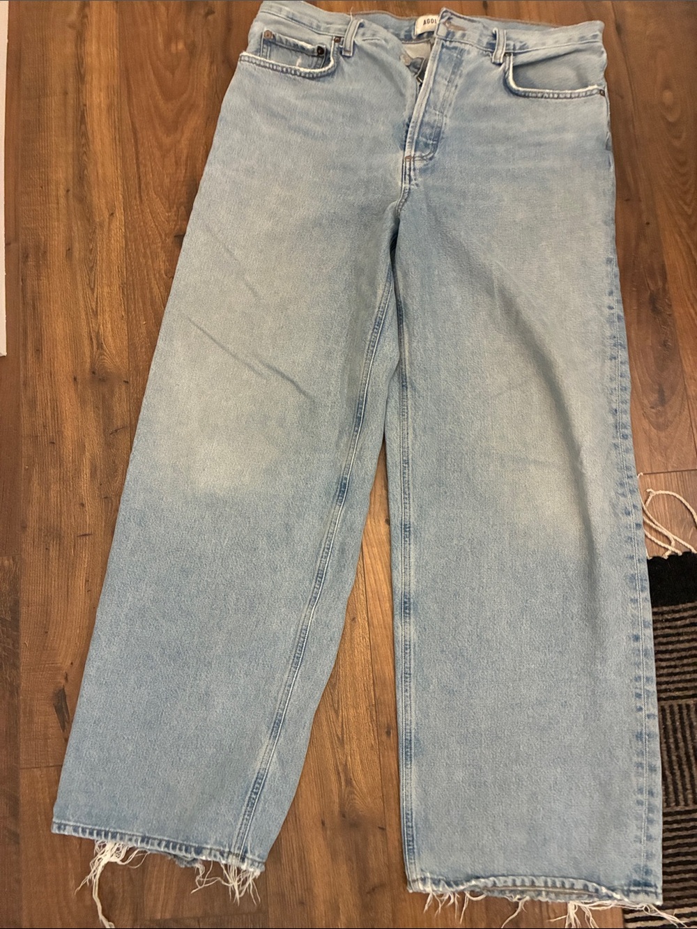 Agolde Low Slung Baggy Jeans